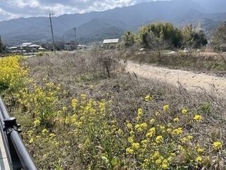 川原川の状況（土砂撤去前）の写真