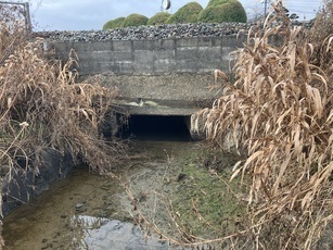 三潴地区水路浚渫前の写真