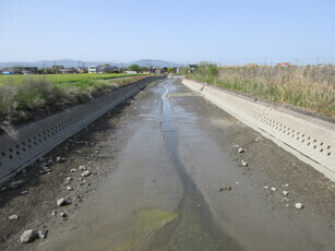 浚渫前（原田地区）の写真