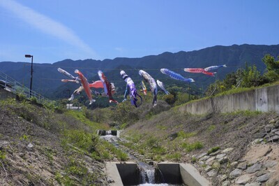 川原川を泳ぐこいのぼり