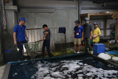 魚を網ですくう体験