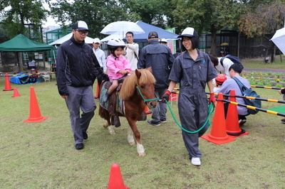 乗馬体験を楽しむ参加者