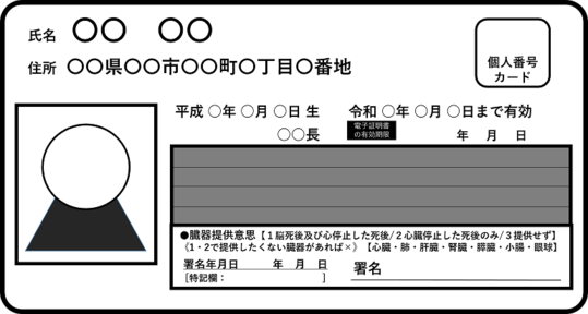 マイナンバーカードの意思表示欄の例