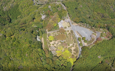 令和７年４月８日に公園を上空から撮影した写真（２枚目）