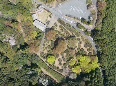令和７年４月８日に公園を上空から撮影した写真（1枚目）