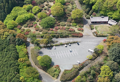 令和７年４月16日に公園を上空から撮影した写真（１枚目）