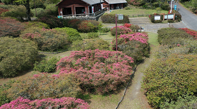令和７年４月16日に公園を上空から撮影した写真（2枚目）