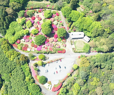 令和７年４月24日に公園を上空から撮影した写真（１枚目）