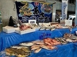新鮮な魚