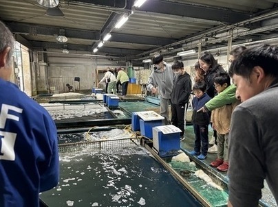 いけす見学
