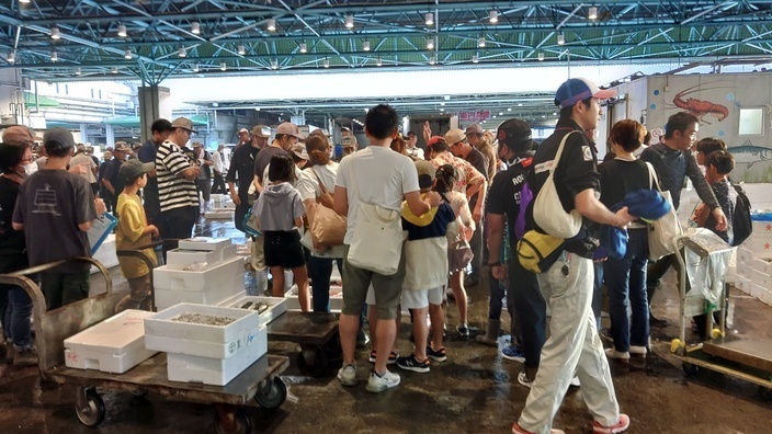 水産せりの様子を見学