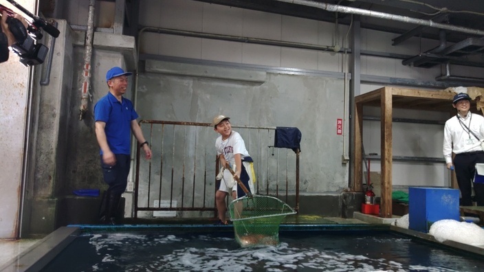 いけすで魚すくいに挑戦