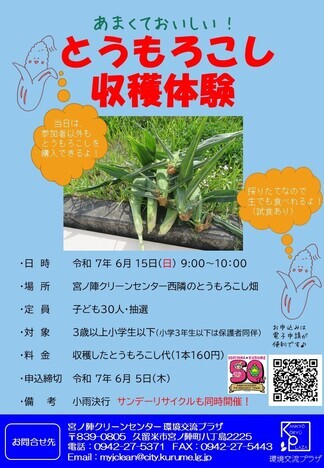 とうもろこし収穫体験のチラシ