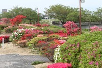 久留米百年公園