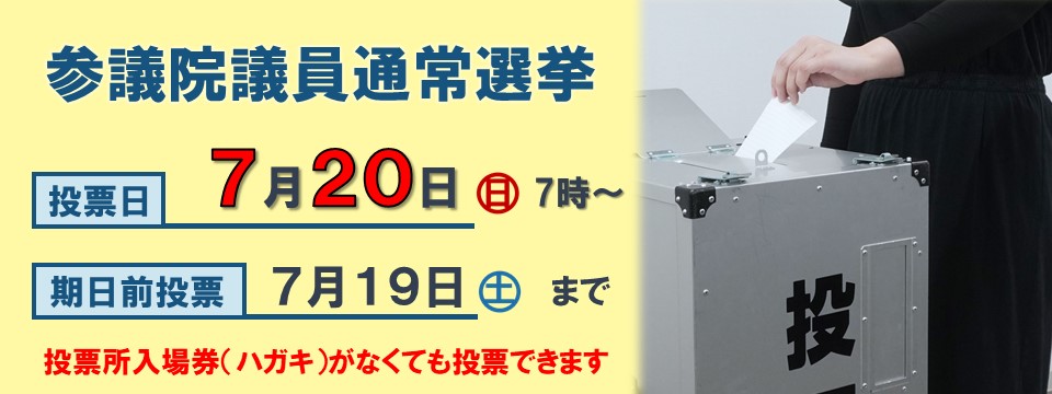 参議院議員通常選挙についてへの画像リンク